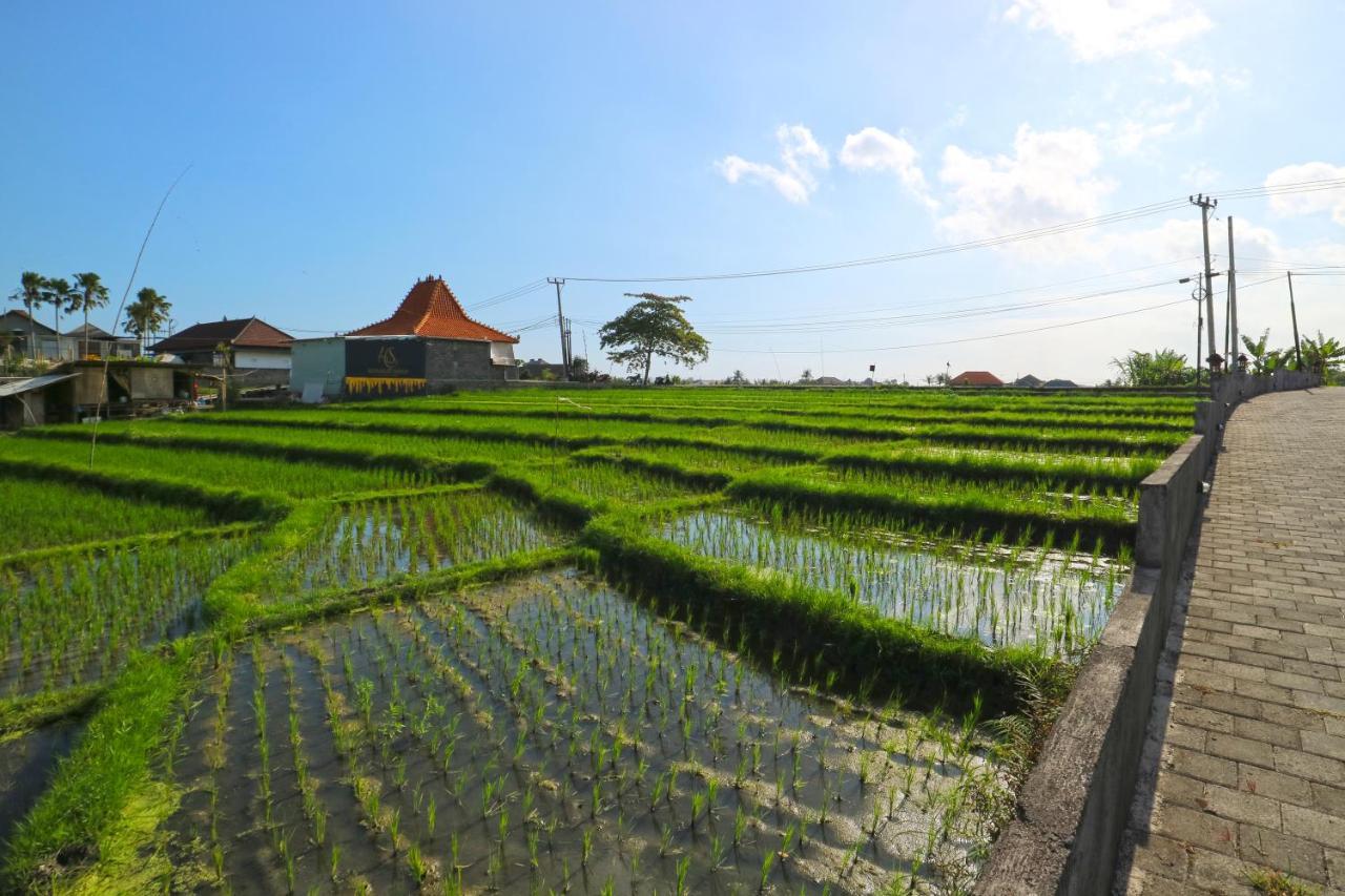 Pererenan Nengah Guest House Canggu ภายนอก รูปภาพ
